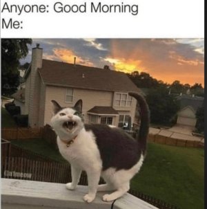 IMG_4930.jpeg