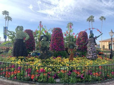 IMG_4977.jpeg