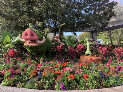IMG_4979.jpeg