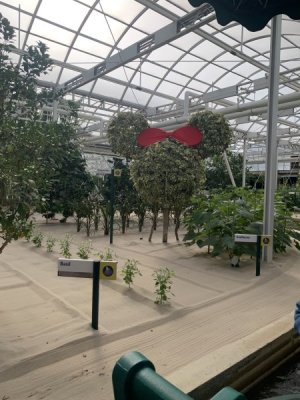 IMG_4980.jpeg