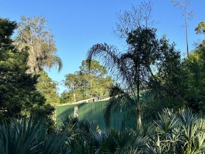 IMG_9108.jpeg