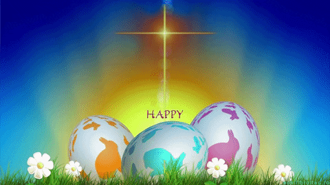 IMG_3201.gif