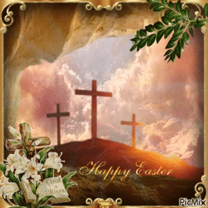 IMG_3210.gif