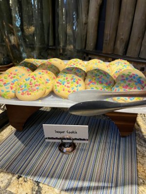 IMG_2170.jpeg