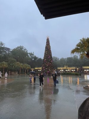 IMG_6099.JPG