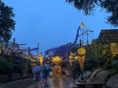 IMG_6101.JPG