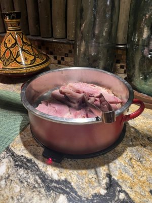 IMG_2144.jpeg