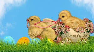 Quackers.jpg
