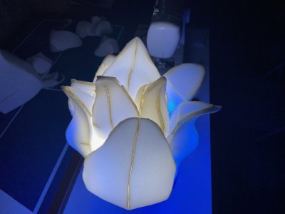 thumbnail_IMG_6976.jpg