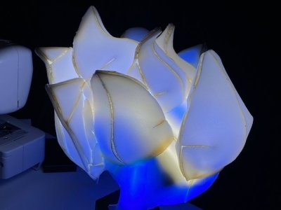 thumbnail_IMG_6995.jpg