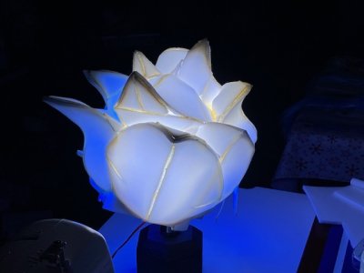 thumbnail_IMG_6994.jpg