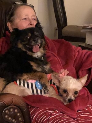 IMG_0466.jpeg
