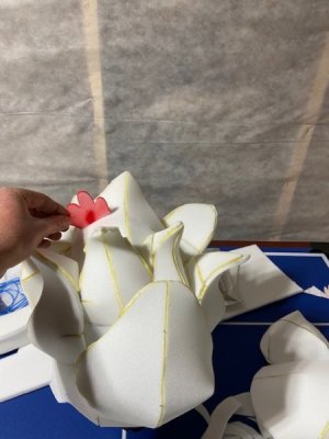 thumbnail_IMG_6988.jpg