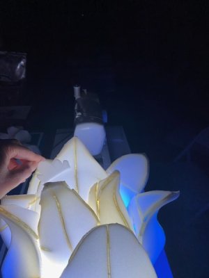 thumbnail_IMG_6981.jpg