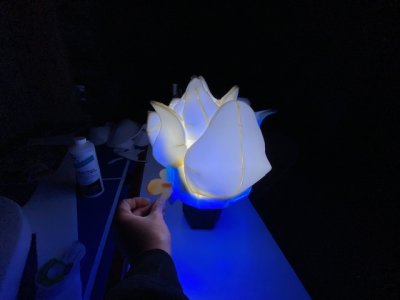 thumbnail_IMG_6998.jpg