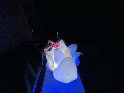thumbnail_IMG_6996.jpg
