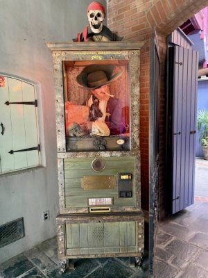 IMG_9866.jpeg