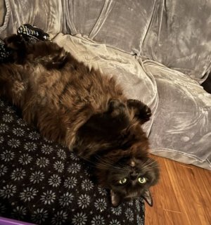 17062668-da7f-4e09-a3f8-547d3fe36e04.jpeg
