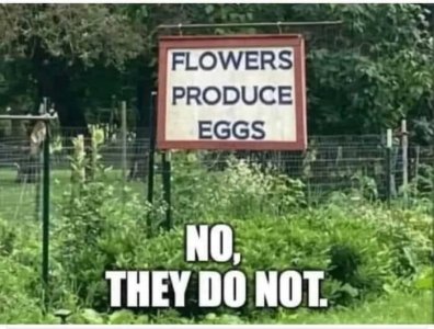 IMG_4523.jpeg