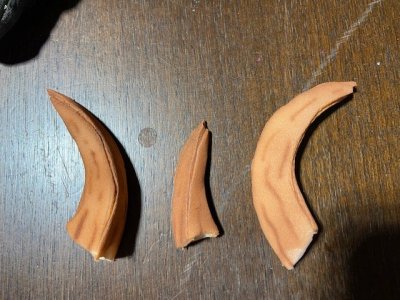 thumbnail_IMG_7008.jpg