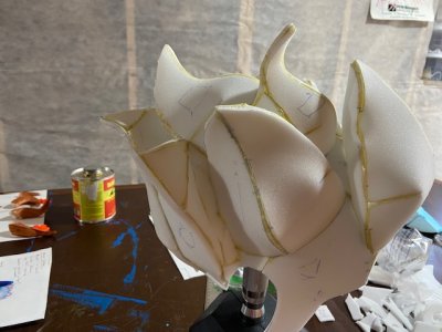 thumbnail_IMG_7014.jpg