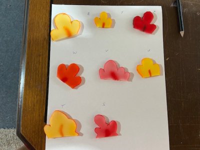 thumbnail_IMG_7013.jpg