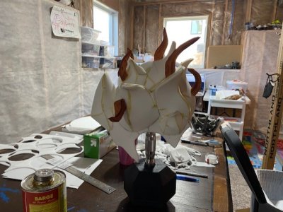 thumbnail_IMG_7020.jpg