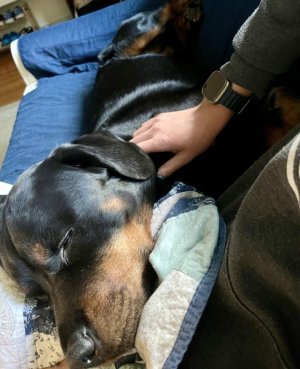 gotcha day snuggles.jpg