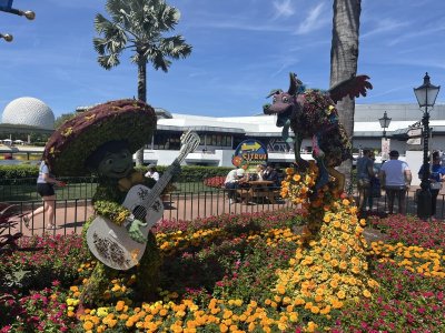 IMG_2308.jpeg
