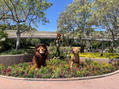 IMG_2300.jpeg