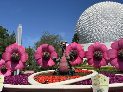 IMG_2297.jpeg
