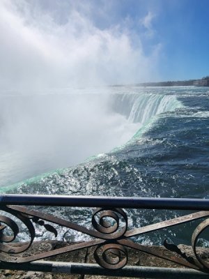 20240407_095223.jpg