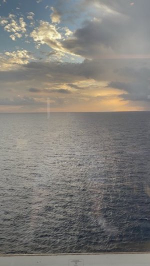 6A169181-085D-4D5F-8342-4F042853C3C2_1_105_c.jpeg
