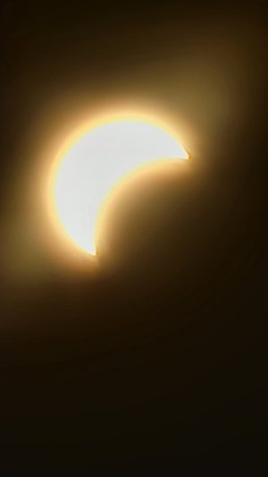 20240408_133417.jpg