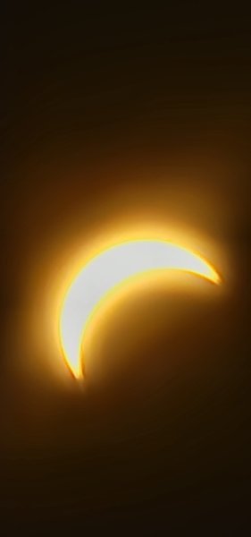 20240408_134730.jpg