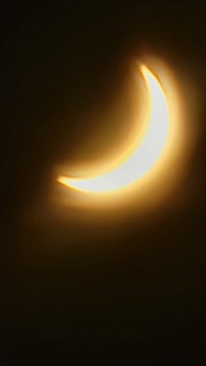 20240408_141200.jpg