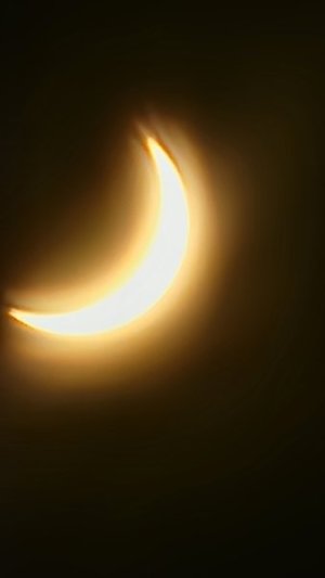 20240408_141222.jpg