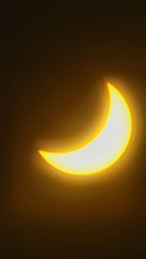 20240408_142538.jpg