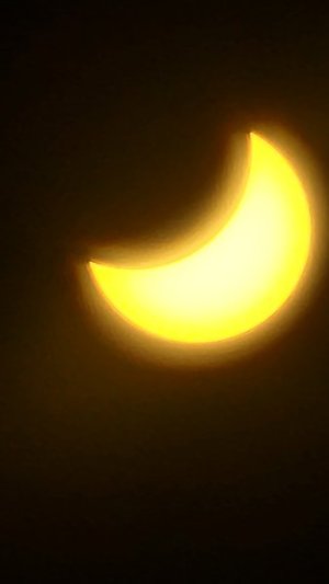 20240408_143504.jpg