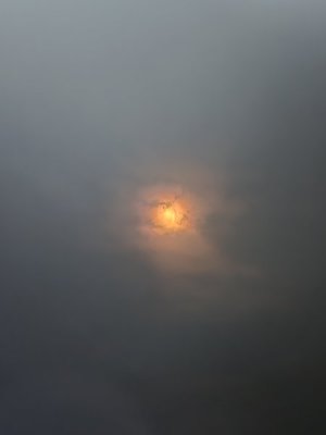 20240408_150804.jpg