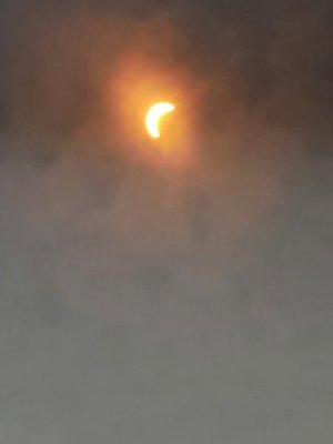 20240408_151430.jpg