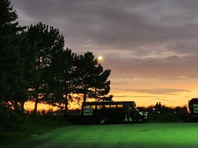 20240408_152011.jpg