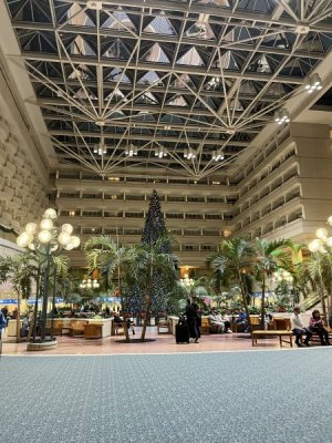 IMG_5586.jpg