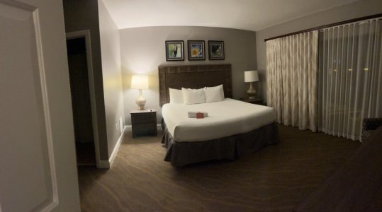 IMG_5591 (1).jpg