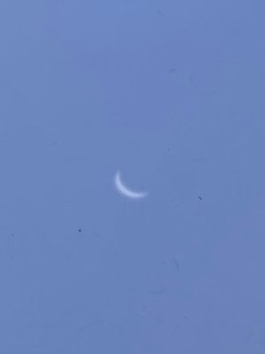 IMG_4961.jpeg