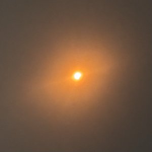 IMG_0976.jpeg