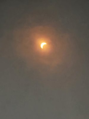 20240408_151010.jpg