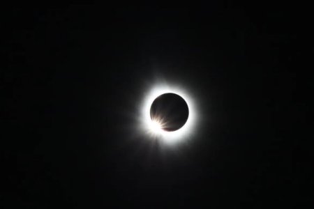 IMG_3976.jpeg