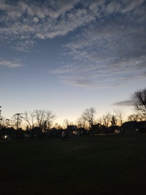 20240408_151921.jpg