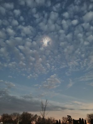 20240408_151735.jpg